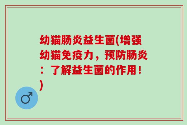 幼猫益生菌(增强幼猫力，：了解益生菌的作用！)