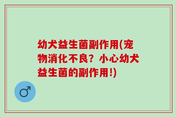幼犬益生菌副作用(宠物？小心幼犬益生菌的副作用!)