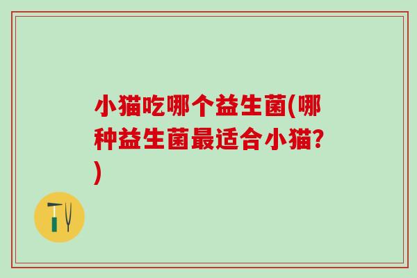 小猫吃哪个益生菌(哪种益生菌适合小猫？)