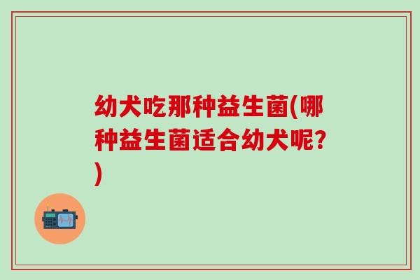 幼犬吃那种益生菌(哪种益生菌适合幼犬呢？)