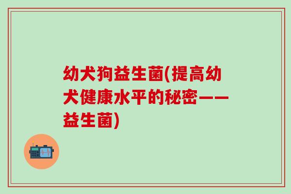 幼犬狗益生菌(提高幼犬健康水平的秘密——益生菌)