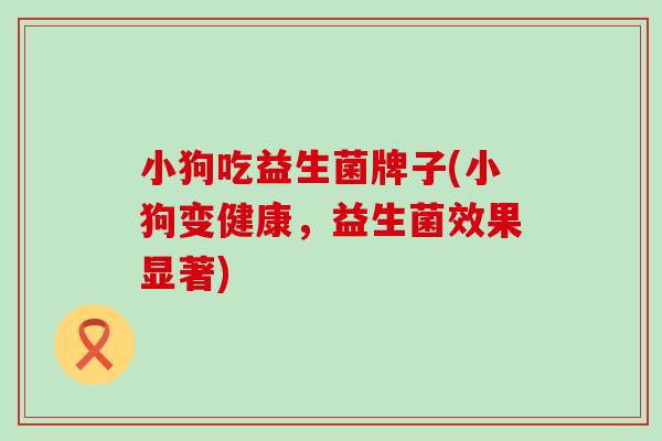 小狗吃益生菌牌子(小狗变健康，益生菌效果显著)