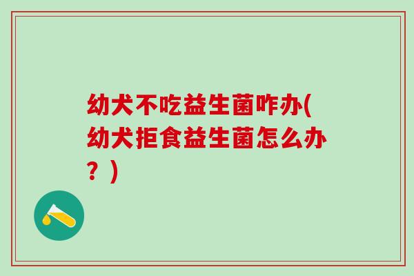 幼犬不吃益生菌咋办(幼犬拒食益生菌怎么办？)