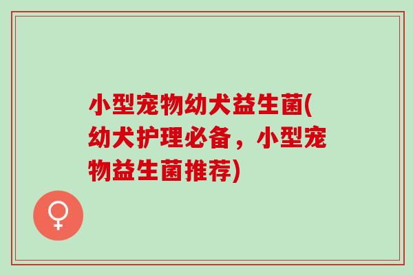 小型宠物幼犬益生菌(幼犬护理必备，小型宠物益生菌推荐)