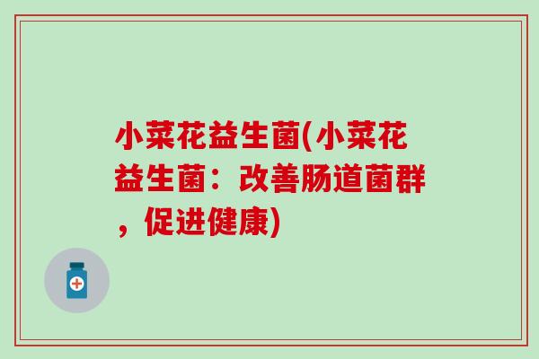 小菜花益生菌(小菜花益生菌：改善肠道菌群，促进健康)