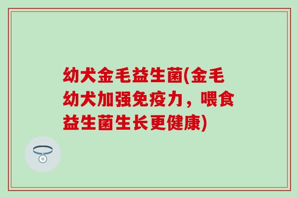 幼犬金毛益生菌(金毛幼犬加强力，喂食益生菌生长更健康)