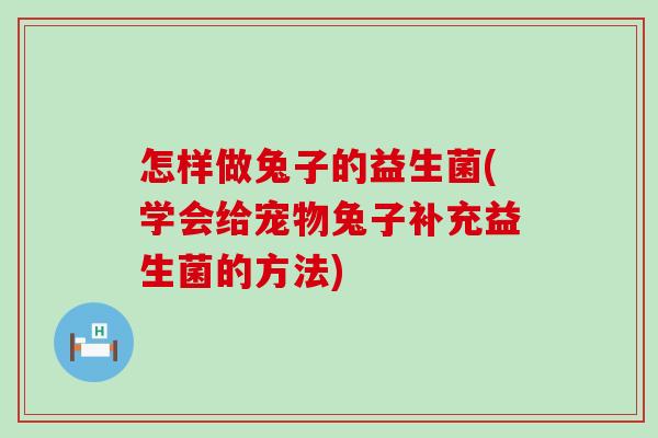 怎样做兔子的益生菌(学会给宠物兔子补充益生菌的方法)