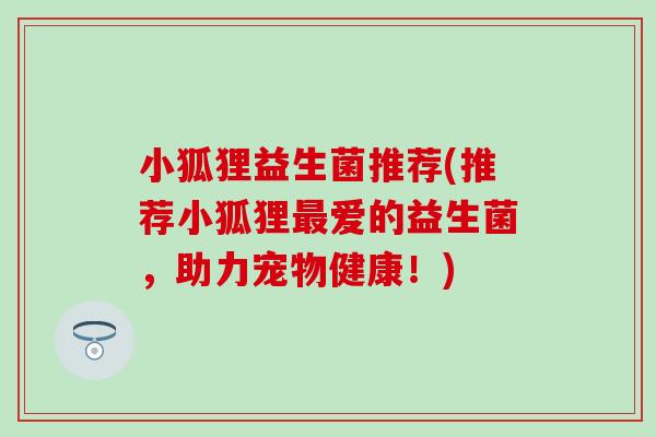 小狐狸益生菌推荐(推荐小狐狸爱的益生菌，助力宠物健康！)