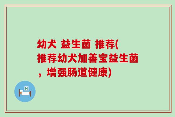 幼犬 益生菌 推荐(推荐幼犬加善宝益生菌,增强肠道健康) 幼犬 益生菌 推荐(推荐幼犬加善宝益生菌,增强肠道健康)
