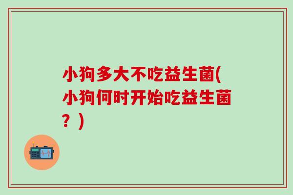 小狗多大不吃益生菌(小狗何时开始吃益生菌？)