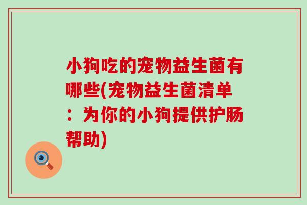 小狗吃的宠物益生菌有哪些(宠物益生菌清单：为你的小狗提供护肠帮助)