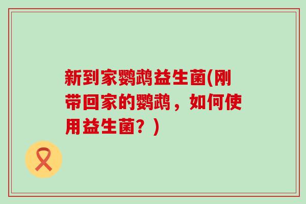 新到家鹦鹉益生菌(刚带回家的鹦鹉，如何使用益生菌？)