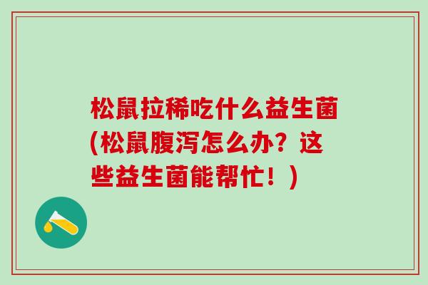 松鼠拉稀吃什么益生菌(松鼠怎么办？这些益生菌能帮忙！)