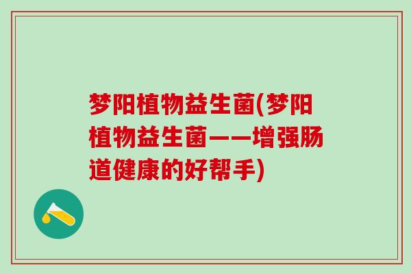 梦阳植物益生菌(梦阳植物益生菌——增强肠道健康的好帮手)