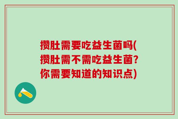 攒肚需要吃益生菌吗(攒肚需不需吃益生菌？你需要知道的知识点)