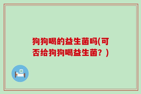 狗狗喝的益生菌吗(可否给狗狗喝益生菌？)