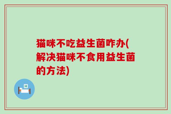 猫咪不吃益生菌咋办(解决猫咪不食用益生菌的方法)