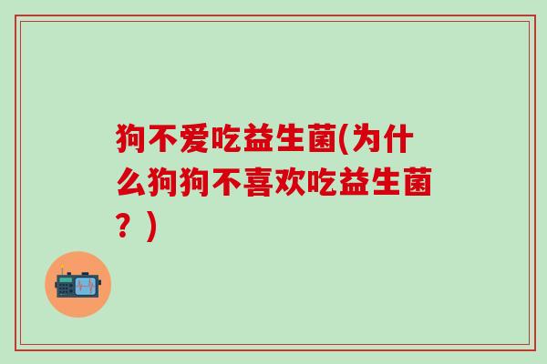 狗不爱吃益生菌(为什么狗狗不喜欢吃益生菌？)