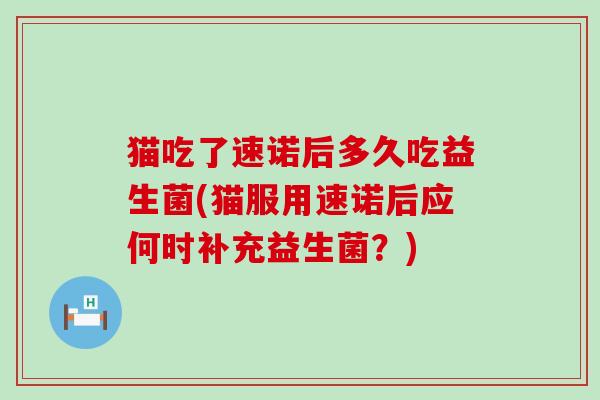 猫吃了速诺后多久吃益生菌(猫服用速诺后应何时补充益生菌？)