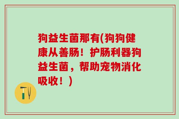 狗益生菌那有(狗狗健康从善肠！护肠利器狗益生菌，帮助宠物消化吸收！)