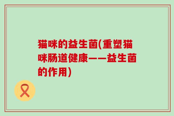 猫咪的益生菌(重塑猫咪肠道健康——益生菌的作用)