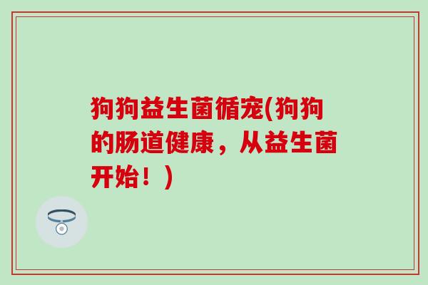 狗狗益生菌循宠(狗狗的肠道健康，从益生菌开始！)
