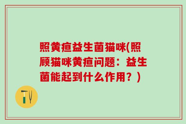 照黄疸益生菌猫咪(照顾猫咪黄疸问题：益生菌能起到什么作用？)