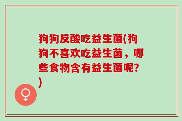 狗狗反酸吃益生菌(狗狗不喜欢吃益生菌，哪些食物含有益生菌呢？)