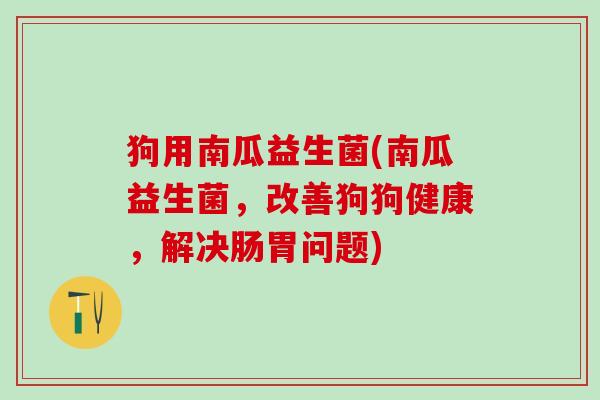 狗用南瓜益生菌(南瓜益生菌，改善狗狗健康，解决肠胃问题)