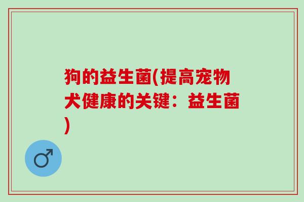 狗的益生菌(提高宠物犬健康的关键：益生菌)