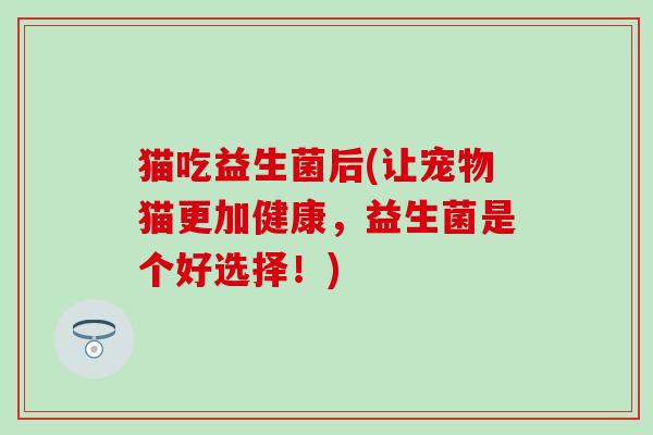 猫吃益生菌后(让宠物猫更加健康，益生菌是个好选择！)