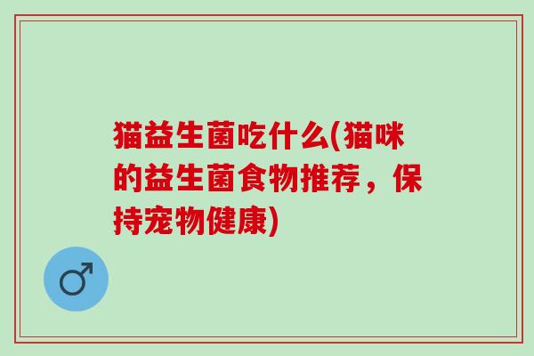 猫益生菌吃什么(猫咪的益生菌食物推荐，保持宠物健康)