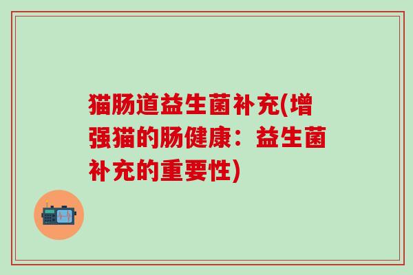 猫肠道益生菌补充(增强猫的肠健康：益生菌补充的重要性)
