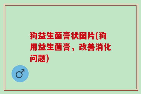 狗益生菌膏状图片(狗用益生菌膏，改善消化问题)