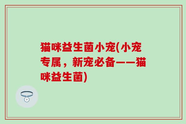 猫咪益生菌小宠(小宠专属，新宠必备——猫咪益生菌)