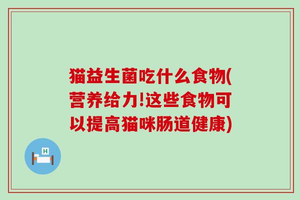 猫益生菌吃什么食物(营养给力!这些食物可以提高猫咪肠道健康)