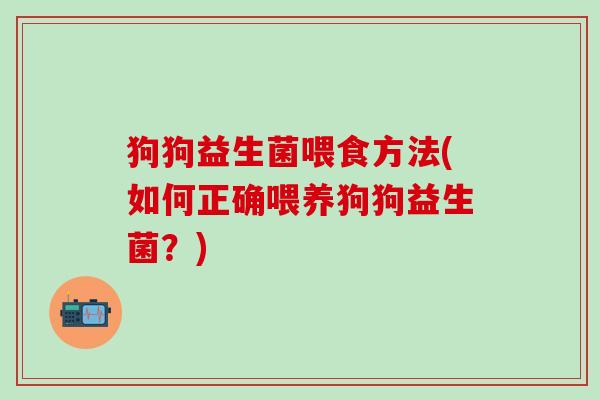 狗狗益生菌喂食方法(如何正确喂养狗狗益生菌？)