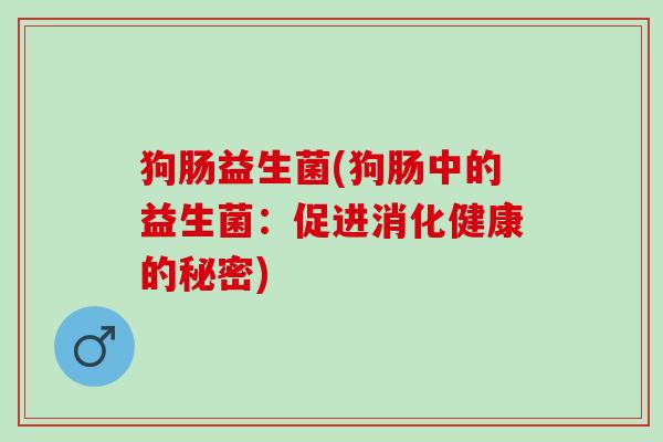 狗肠益生菌(狗肠中的益生菌：促进消化健康的秘密)