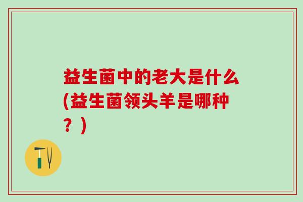 益生菌中的老大是什么(益生菌领头羊是哪种？)