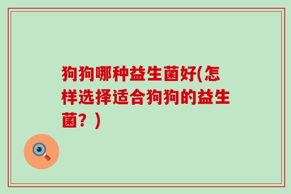 狗狗哪种益生菌好(怎样选择适合狗狗的益生菌?) 狗狗哪种益生菌好(怎样选择适合狗狗的益生菌?)