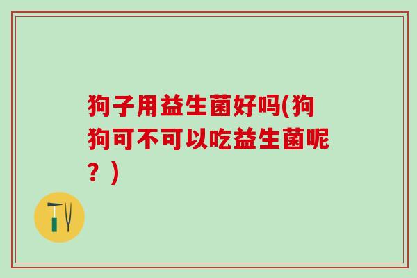 狗子用益生菌好吗(狗狗可不可以吃益生菌呢？)