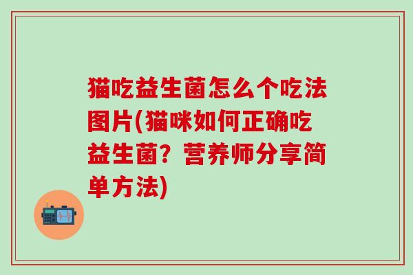 猫吃益生菌怎么个吃法图片(猫咪如何正确吃益生菌？营养师分享简单方法)