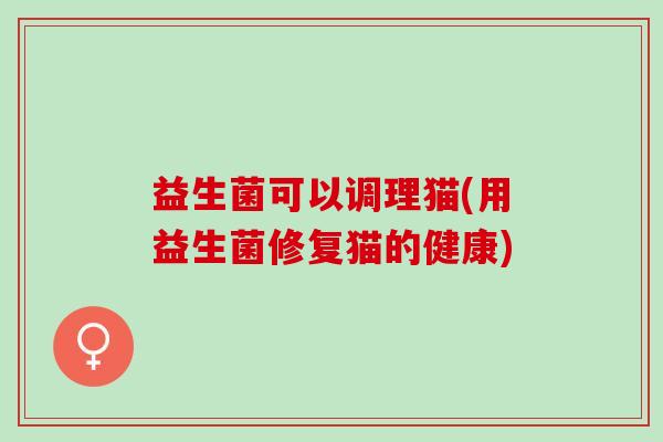 益生菌可以调理猫(用益生菌修复猫的健康)