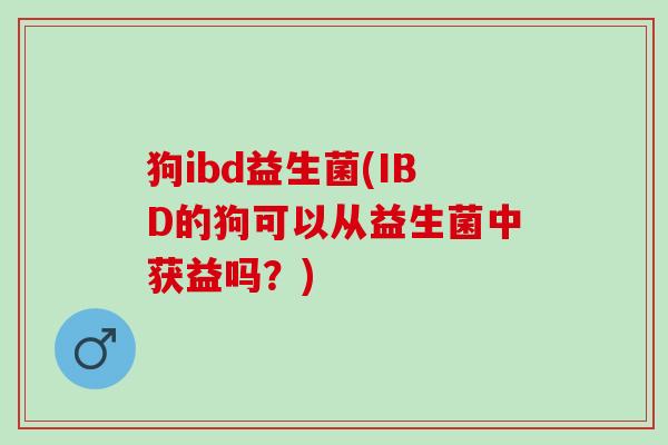 狗ibd益生菌(IBD的狗可以从益生菌中获益吗？)