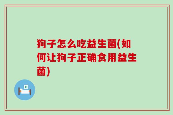 狗子怎么吃益生菌(如何让狗子正确食用益生菌) 狗子怎么吃益生菌(如何让狗子正确食用益生菌)