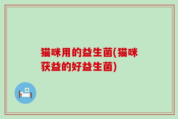 猫咪用的益生菌(猫咪获益的好益生菌)
