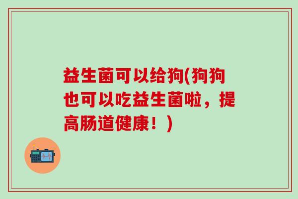 益生菌可以给狗(狗狗也可以吃益生菌啦，提高肠道健康！)