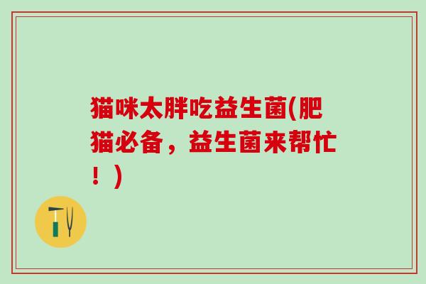 猫咪太胖吃益生菌(肥猫必备，益生菌来帮忙！)
