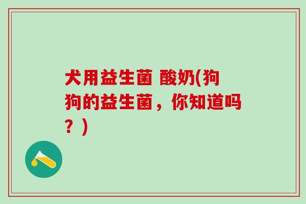 犬用益生菌 酸奶(狗狗的益生菌，你知道吗？)