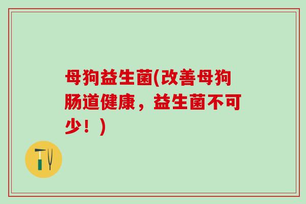 母狗益生菌(改善母狗肠道健康，益生菌不可少！)